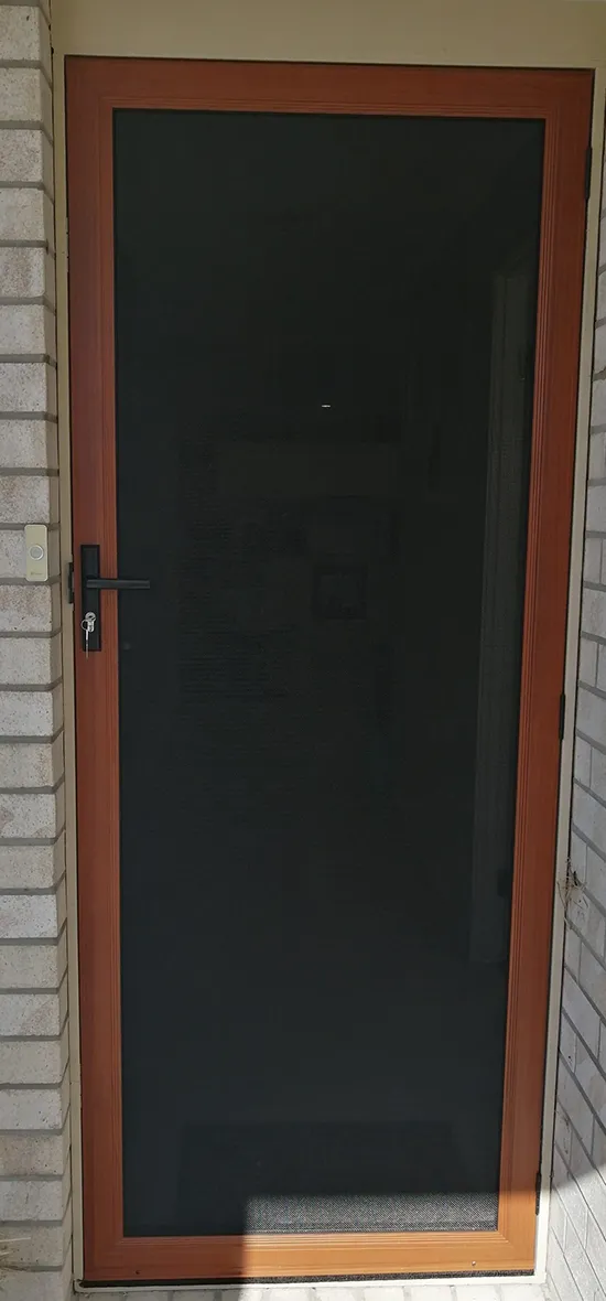 stainless steel security door with stainless steel mesh